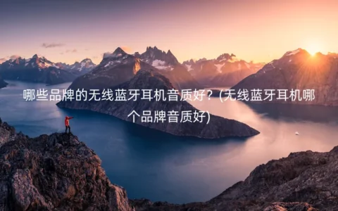 哪些品牌的无线蓝牙耳机音质好？(无线蓝牙耳机哪个品牌音质好)