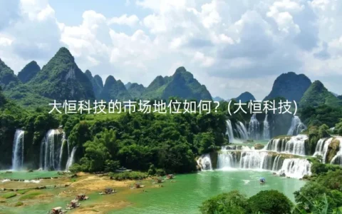 大恒科技的市场地位如何？(大恒科技)