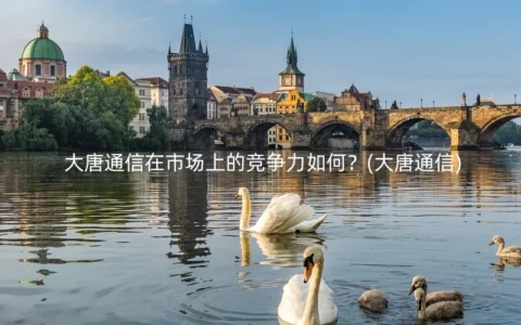 大唐通信在市场上的竞争力如何？(大唐通信)