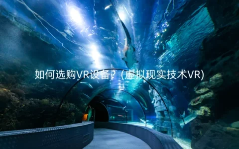 如何选购VR设备？(虚拟现实技术VR)