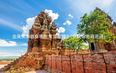金属探测器有哪些常见故障？(金属探测器原理)