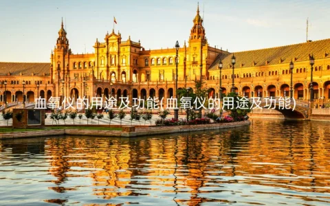 血氧仪的用途及功能(血氧仪的用途及功能)