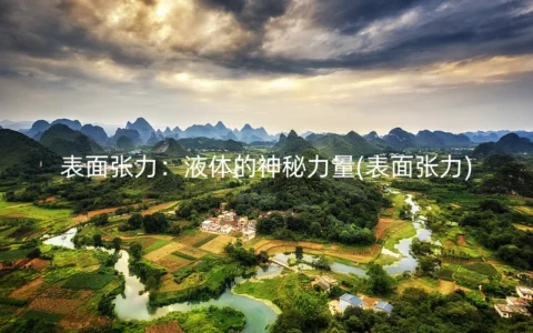 表面张力：液体的神秘力量(表面张力)