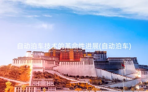 自动泊车技术的革命性进展(自动泊车)