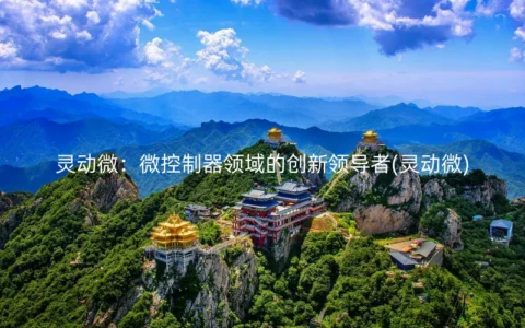 灵动微：微控制器领域的创新领导者(灵动微)