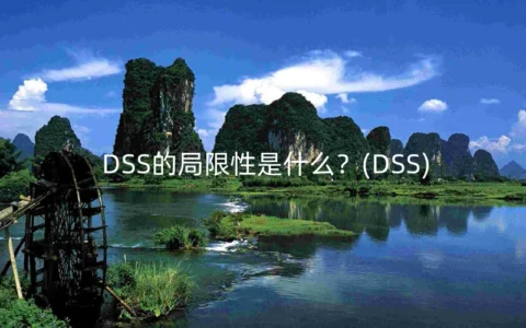 DSS的局限性是什么？(DSS)