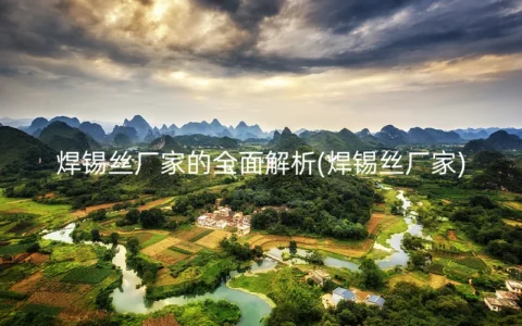 焊锡丝厂家的全面解析(焊锡丝厂家)