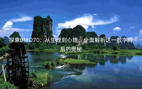 探索BMI270：从生理到心理，全面解析这一数字背后的奥秘