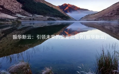 振华新云：引领未来的企业云服务