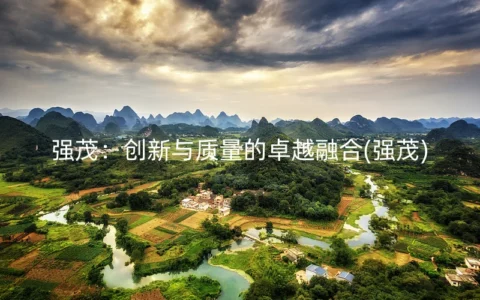 强茂：创新与质量的卓越融合(强茂)