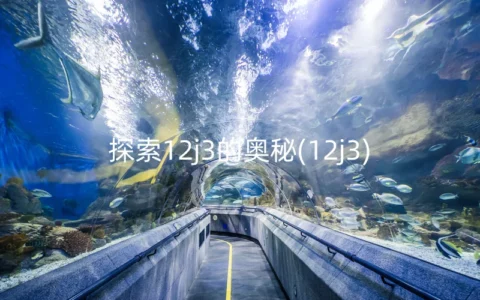 探索12j3的奥秘
