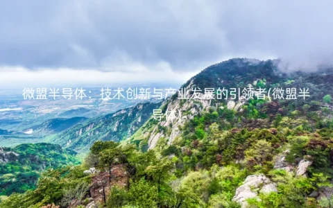 微盟半导体：技术创新与产业发展的引领者(微盟半导体)