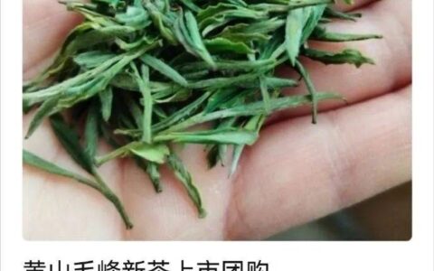 又到了春茶飘着幽香的季节