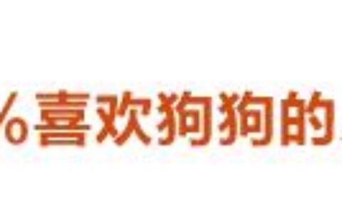 世界导盲犬日：它们值得更多的理解与尊重！