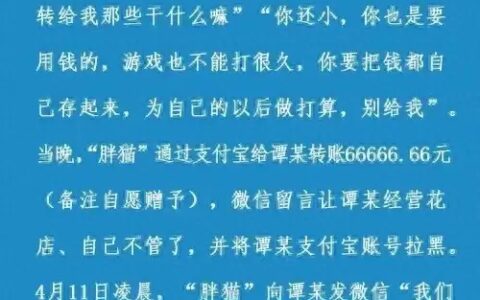 又是大反转，警方公布“胖猫”事件真相，姐姐涉嫌违法可能被处理