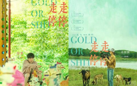 胡歌、高圆圆新片《走走停停》发预告，“狂野”一家上演劲爆日常
