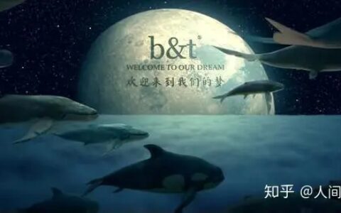 《大鱼海棠》：报恩背后，是三个命运的纵横交错
