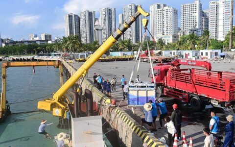 图集｜历时145天，被救助短肢领航鲸“海棠”回归大海