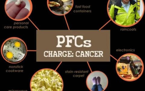 全氟化合物(PFCs) | 持久性有机污染物的”顽疾”-全氟化合物用途及作用机理