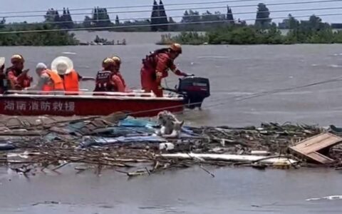 尊重每个生命！湖南华容洪水中现“狗坚强”，被困两天后获救-华容防汛2021