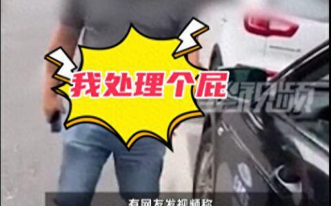 重庆公务车强行变道引发事故，司机称“领导有事”爆粗口强行离开-重庆公车改革