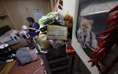韩国65岁以上老年人口首破900万，其中21.8%为独居-韩国老年人口占比