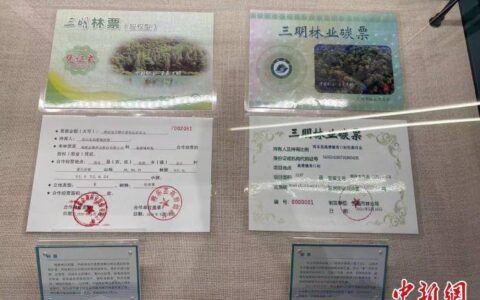（改革进行时）从全球最大碳市场起步走稳看中国“双碳”答卷-碳市场总量
