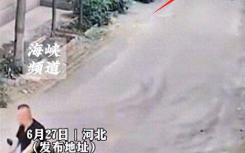 原创
            河北一男子疯狂加速撞邻居，还拿刀追着砍！原因和后续曝光太气人-河北村民杀死村支书