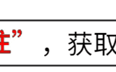 永不言败的小胖樊振东:不服输，不认怂，永远向前!-小胖樊振东几岁了